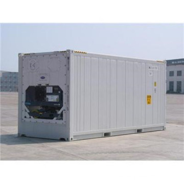 RC-55 Refrigerated Steel Storage Container